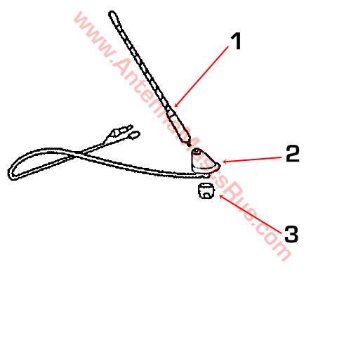 Corolla Antenna Diagram